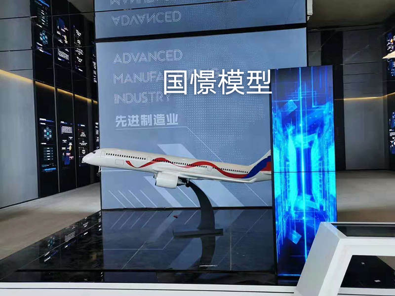 龙井市飞机模型