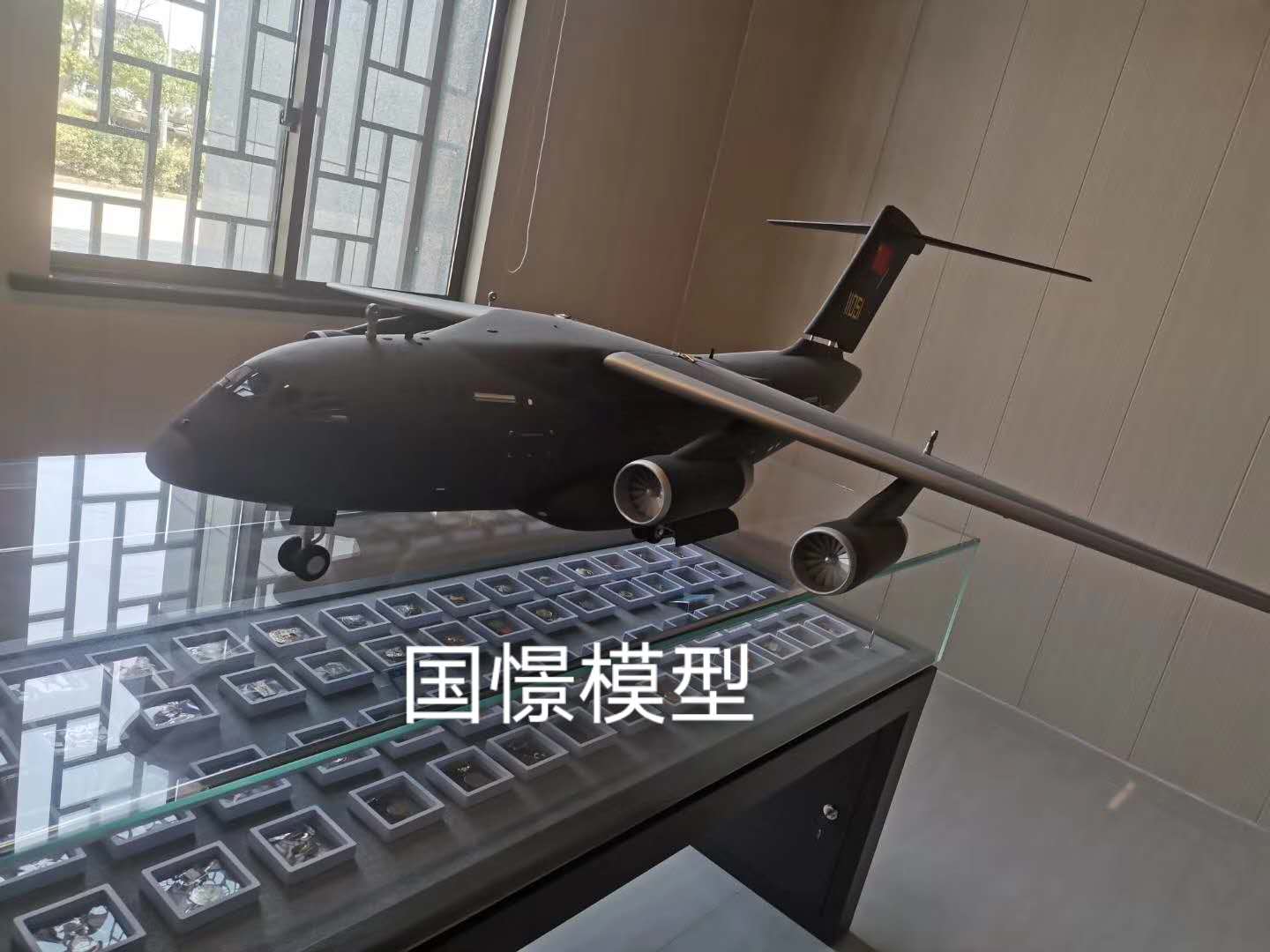 龙井市飞机模型
